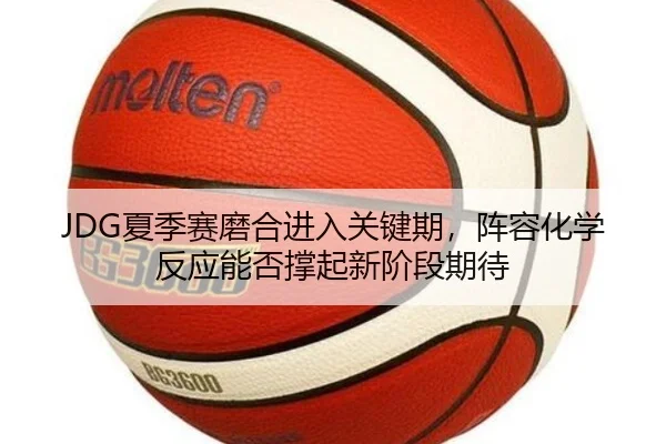 JDG夏季赛磨合进入关键期，阵容化学反应能否撑起新阶段期待